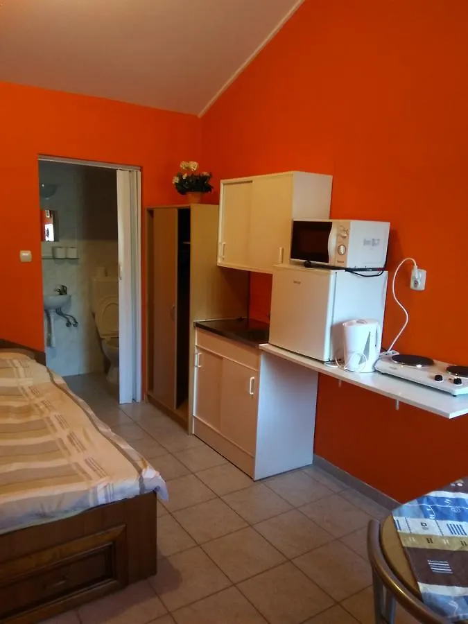 Aranyeso Vendeghaz Hotel Domaszek